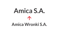 2016 - Смяна на името от Amica Wronki S.A. на Amica S.A.